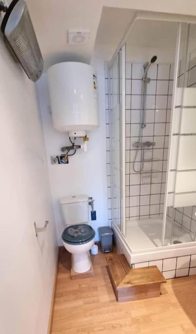 Studio En Rez De Jardin Avec Terrasse Privee - Le Petit Chateau Avesnois - Tv - Wifi - Logement Complet Avesnes-sur-Helpe Exterior photo